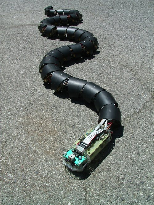 Робот Snake Robot